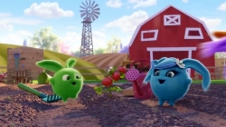 انیمیشن سانی بانیز قسمت 522 - sunny bunnies